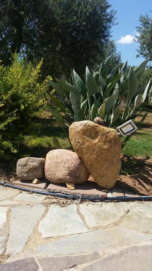 Da Patrizia Bed & Breakfast Alghero